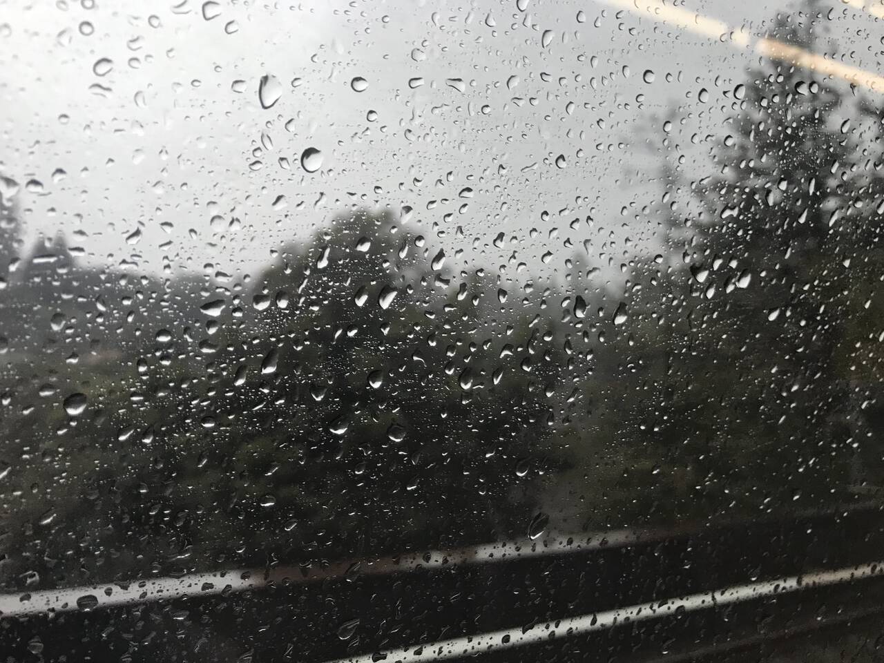 The view from the train to Orinda