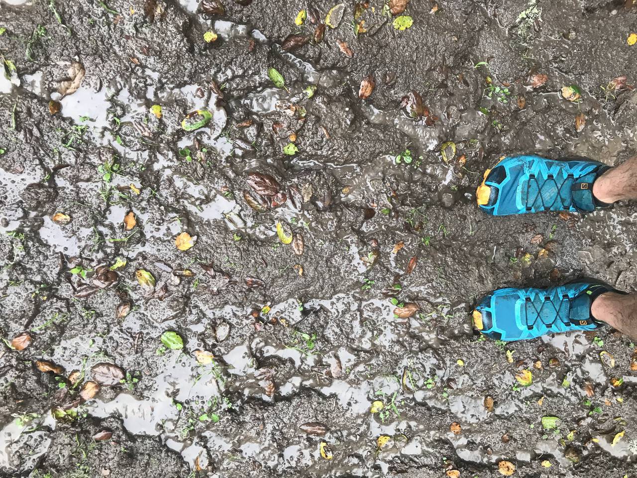 A picture of my shoes as I stand on a wet trail