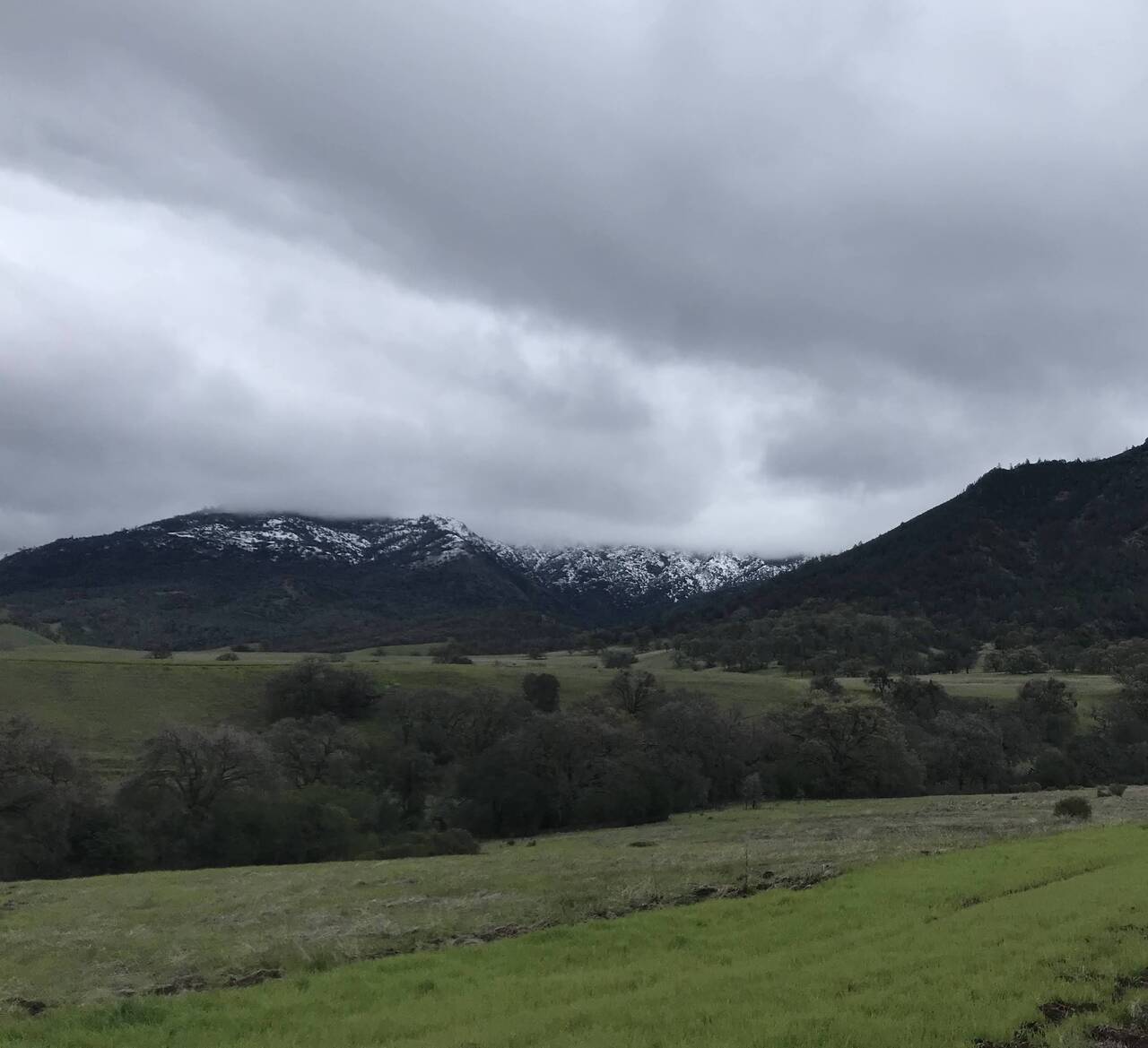 The lower slopes of Mount Diablo covered in snow, the upper hidden in the clouds