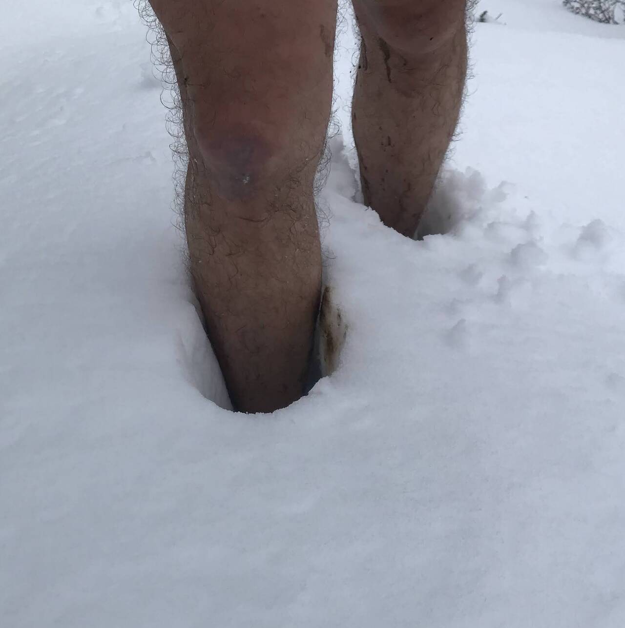 Two feet buried in mid-shin-depth snow