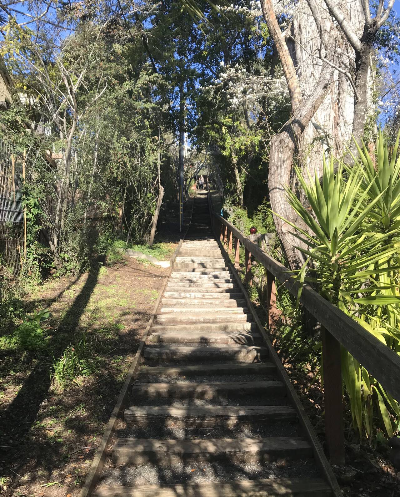 One of Mill Valley's many beautiful staircases