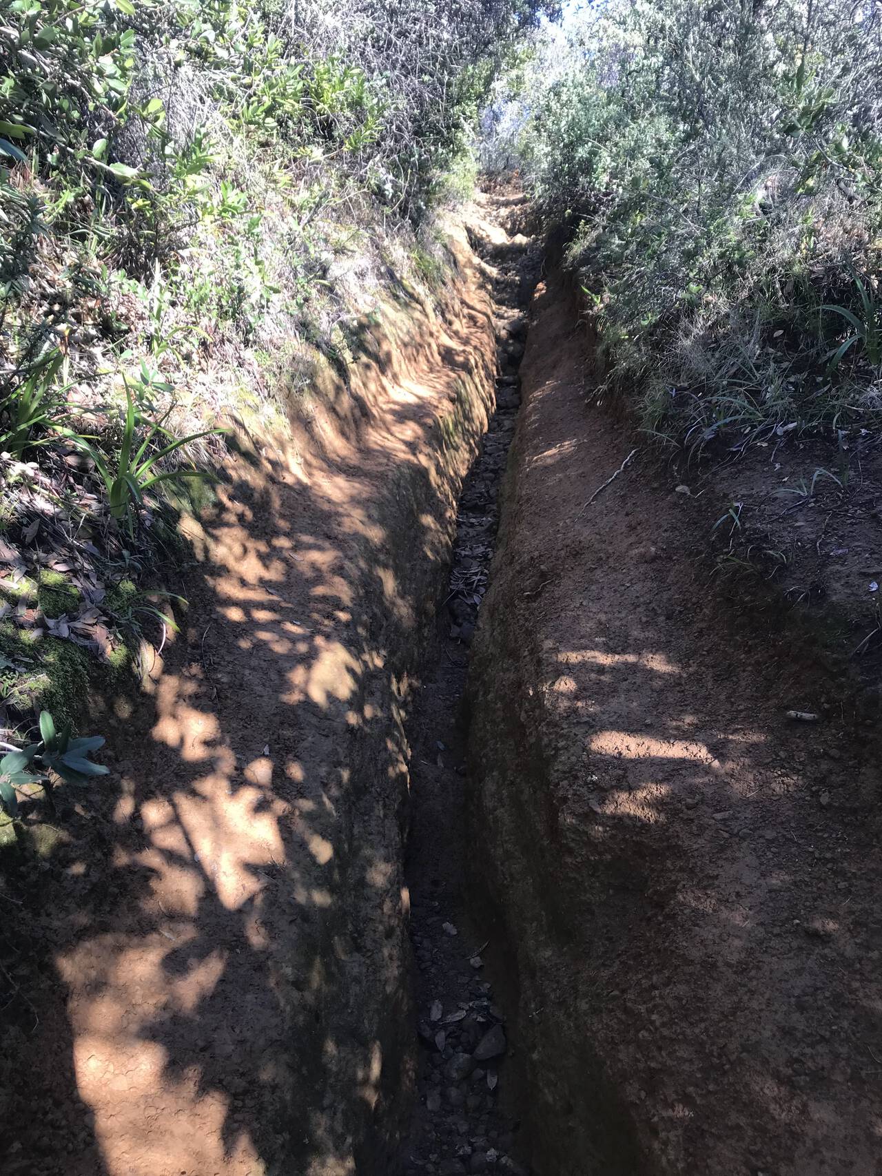 The heavily rutted Temelpa trail