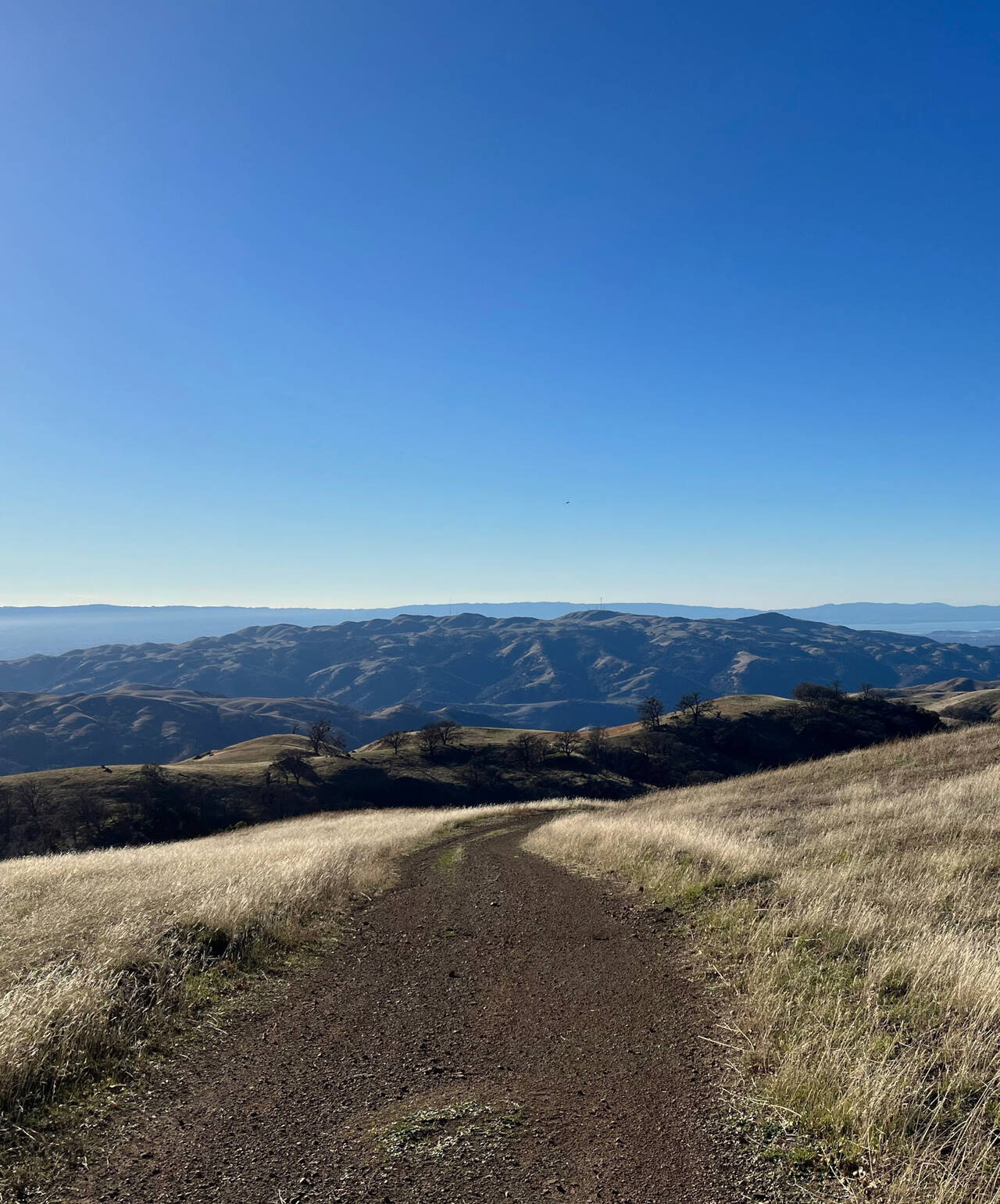A path winds downhill into the distance. Mission Peak is visible on the horizon.