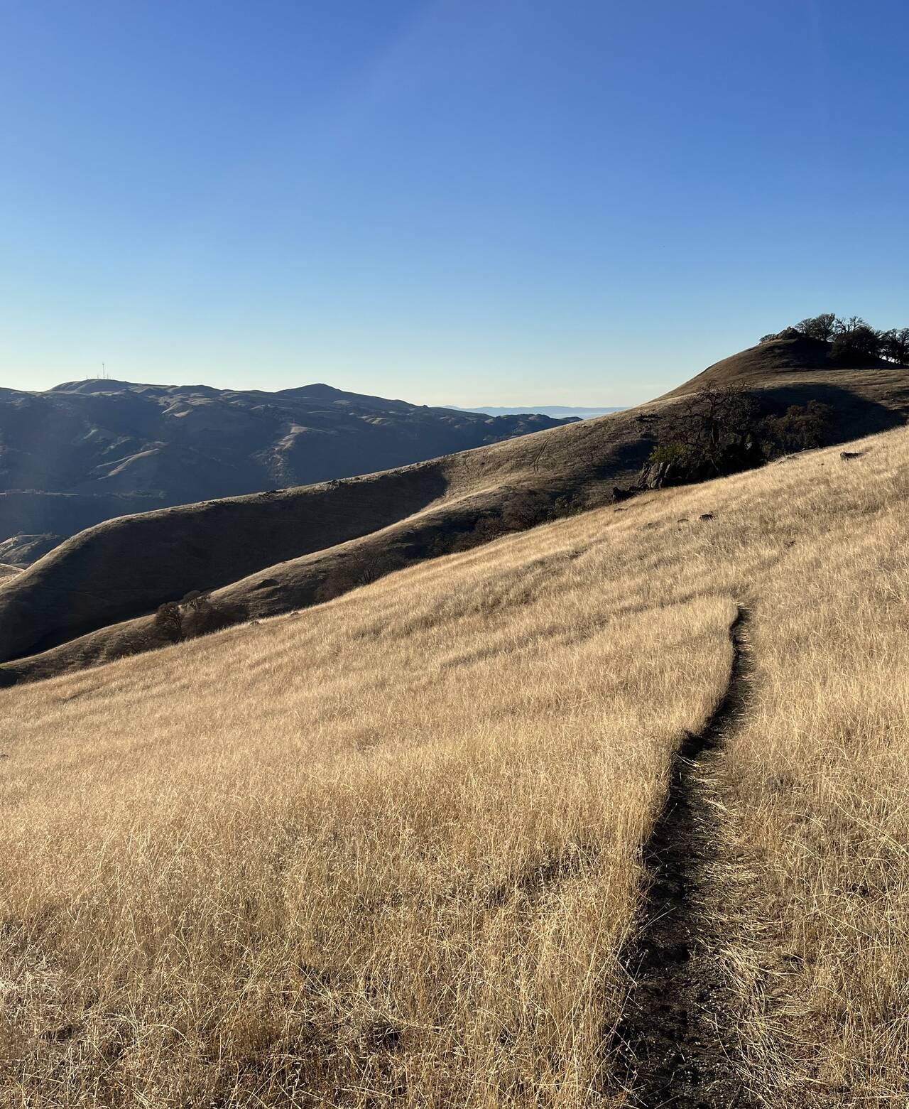 A single track path cuts across a hillside with Misson Peak now poking slightly above the horizon