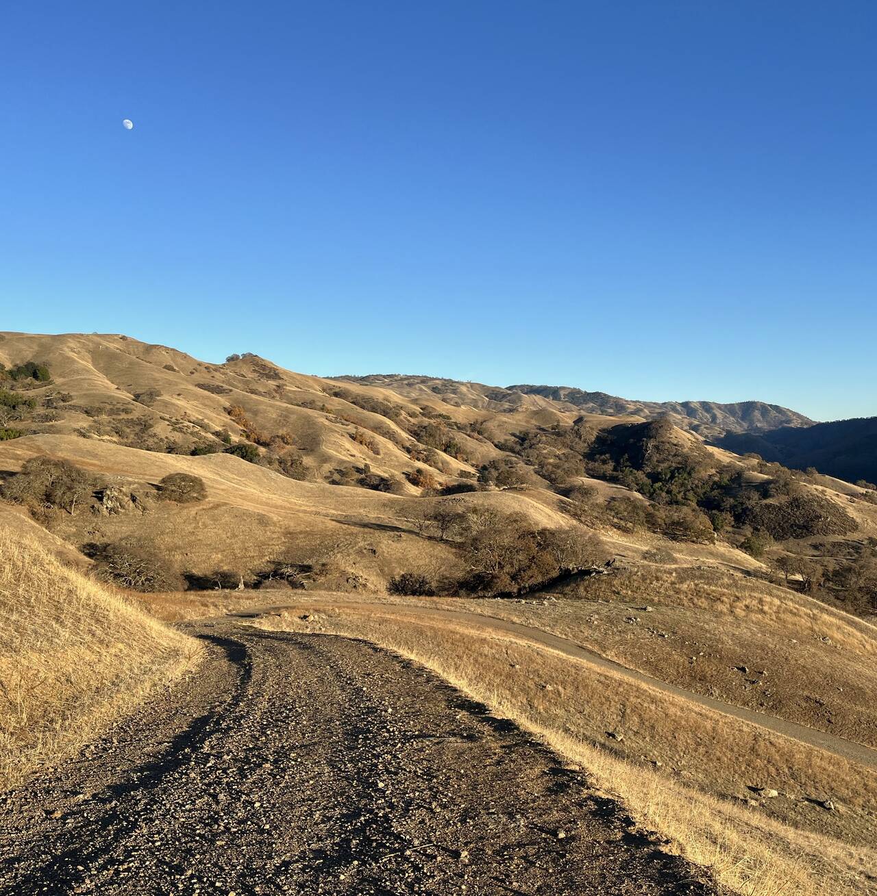 Looking eastward, the moon rises above warm-colored hills
