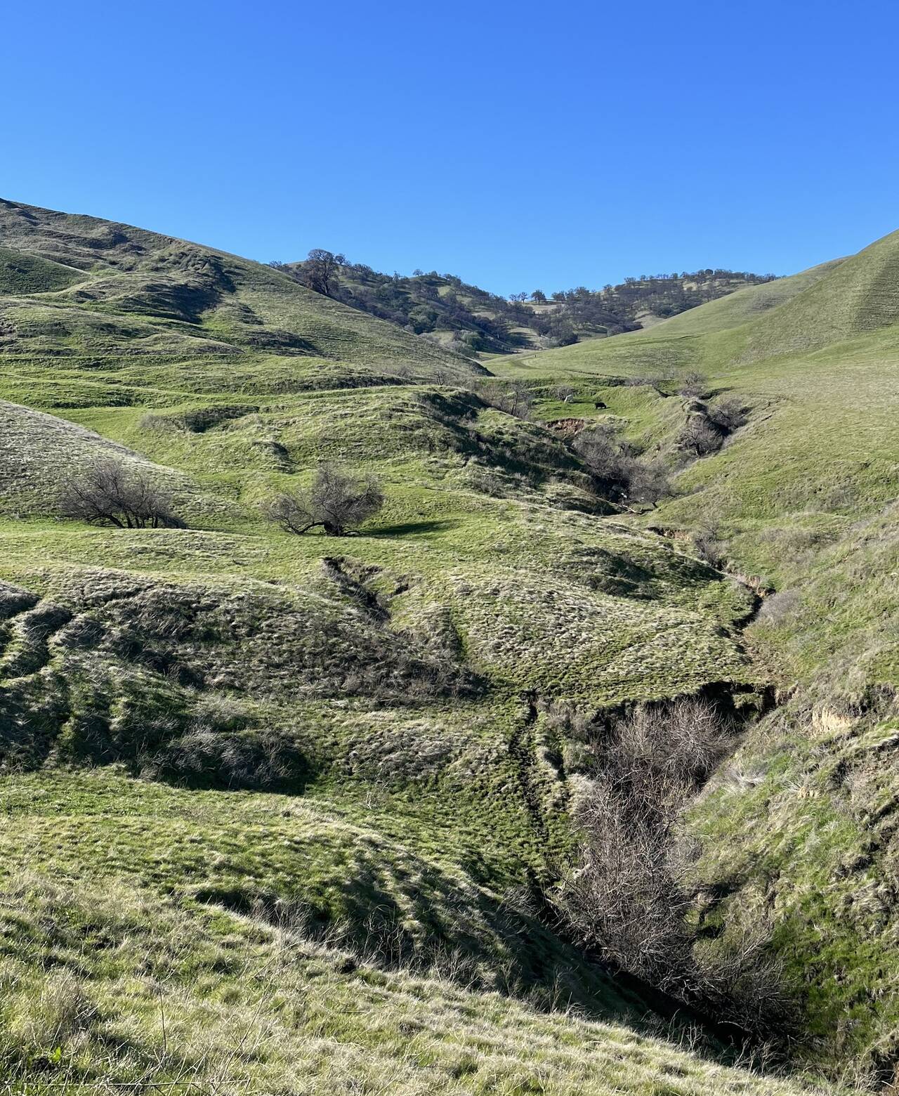 A green gully ascends bare, grassy hills.