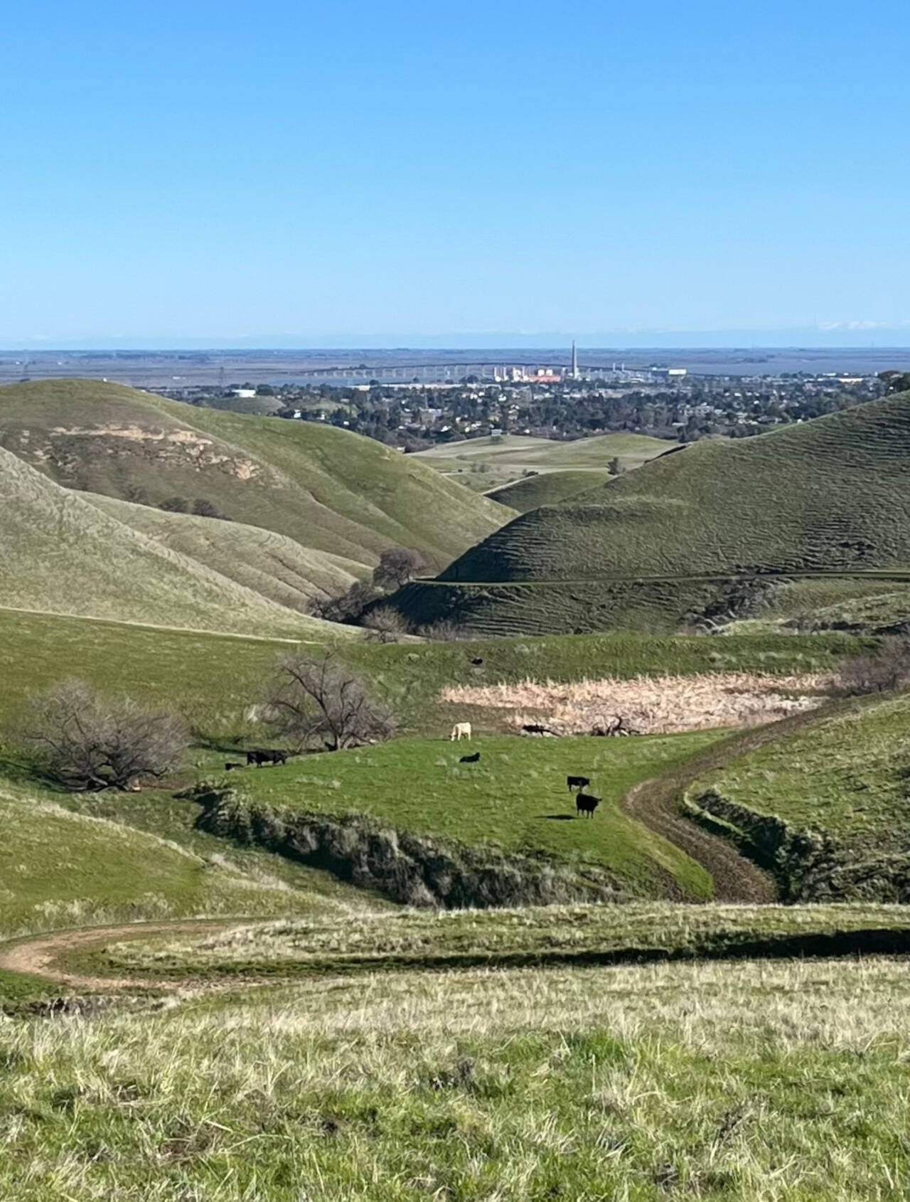 Looking back toward Antioch through the rounded hills.