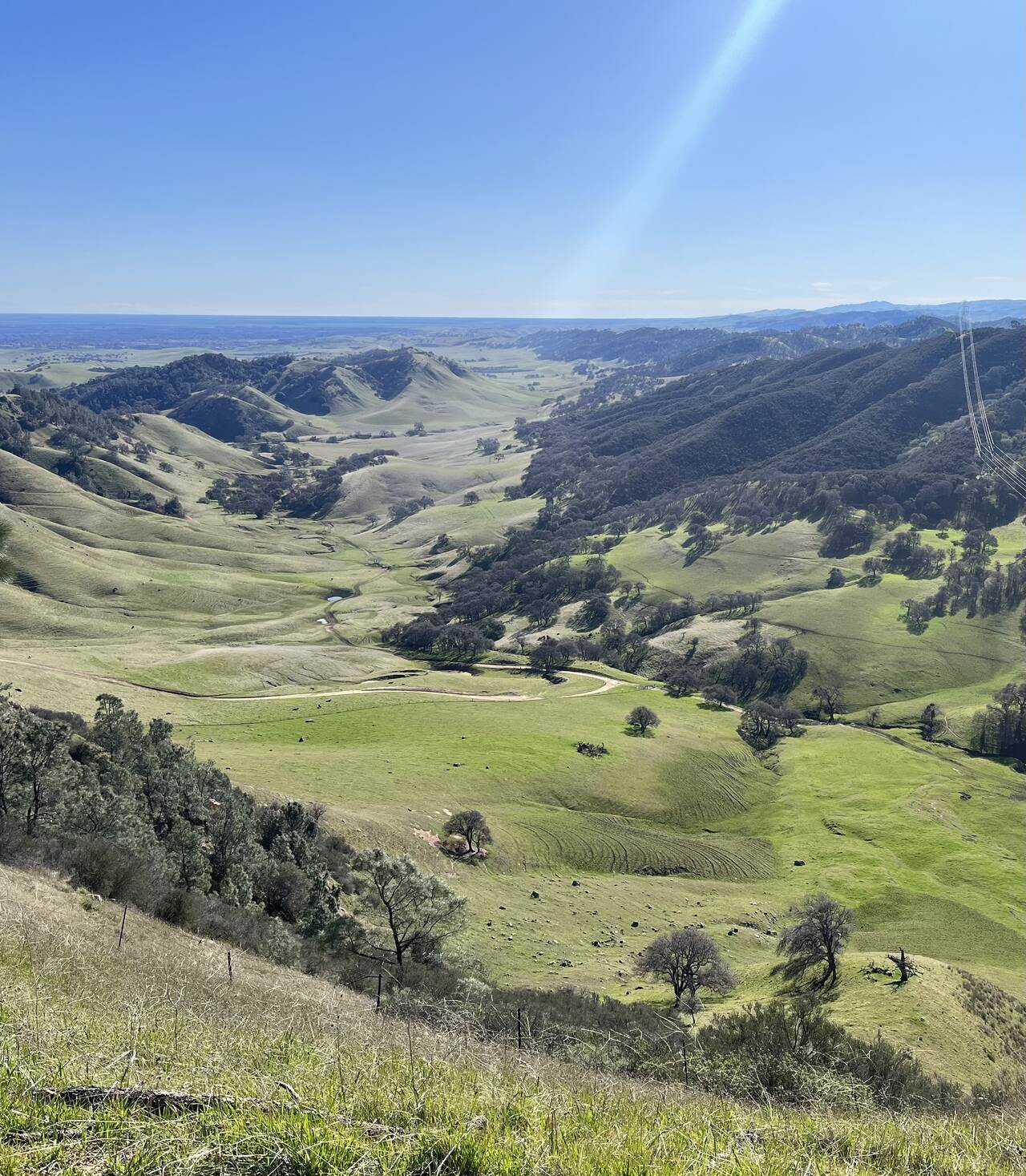 A beautiful green valley with a perfectly clear blue sky.