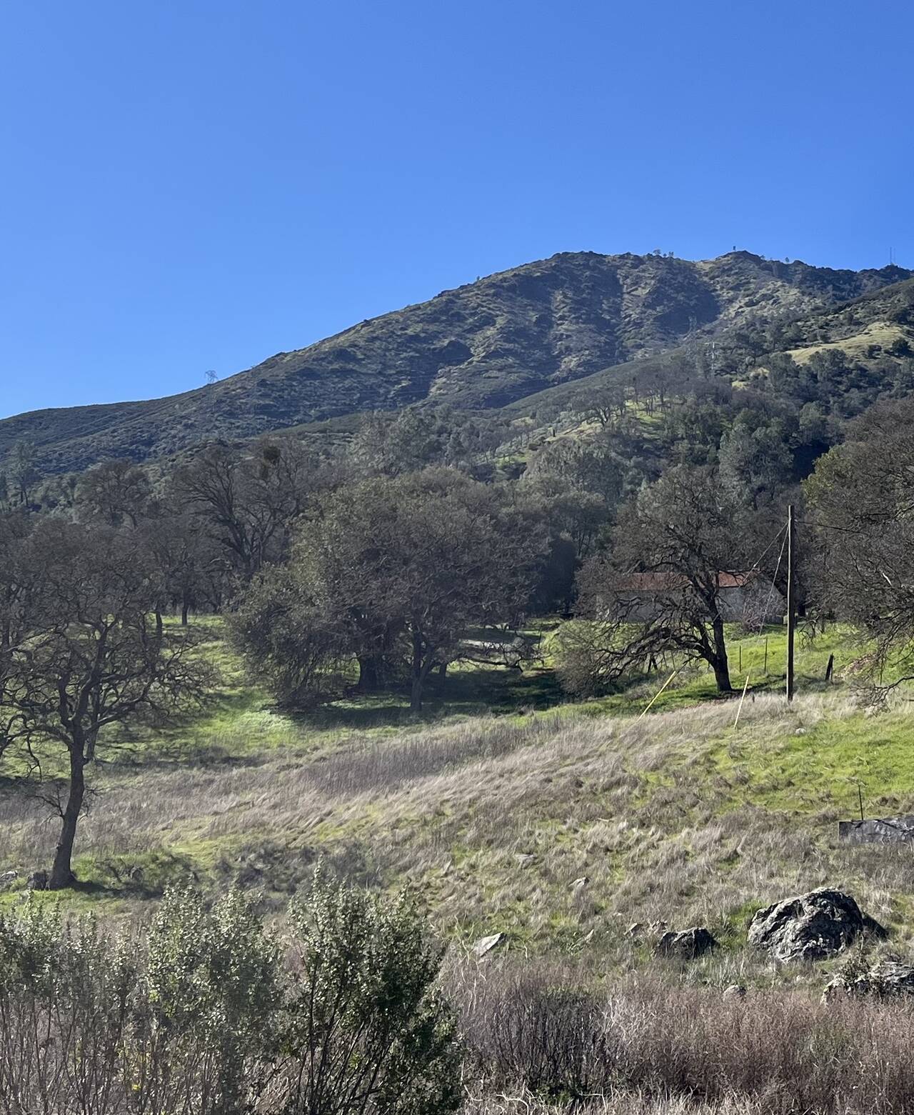 A photograph of the North Peak of Mount Diablo, taken from directly below it.