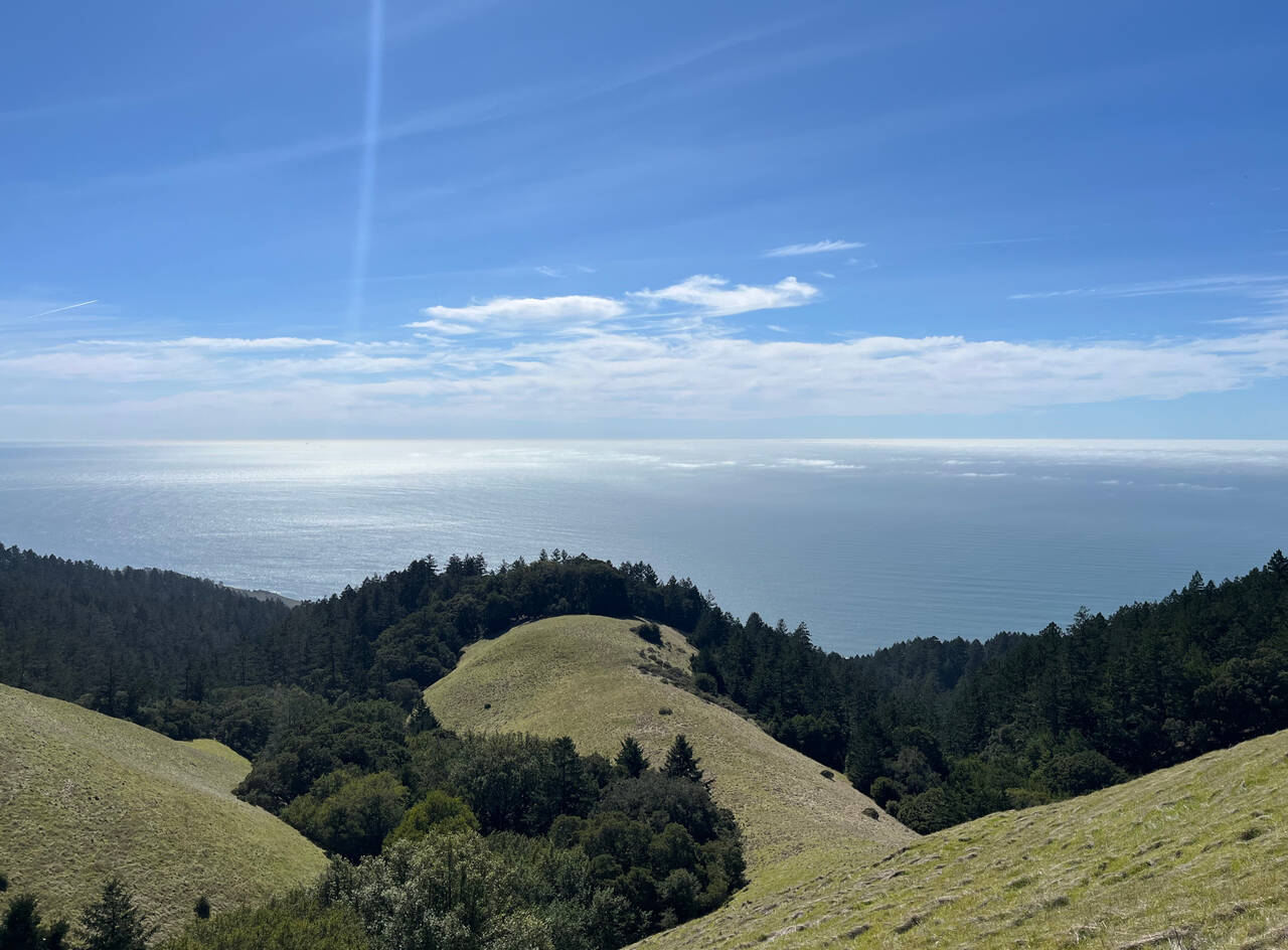 Looking down onto the redwoods that separate the trail from the ocean.