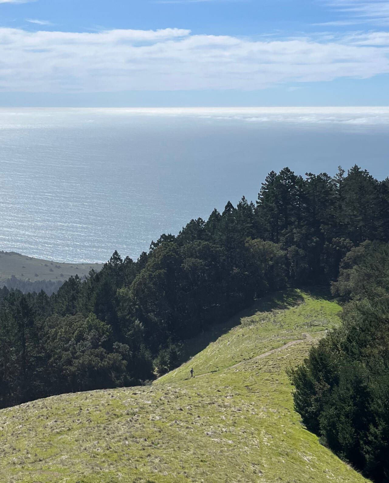 Looking down the trail to Stinson Beach. A single hiker is bottom-center, beginning the hike down the trail.