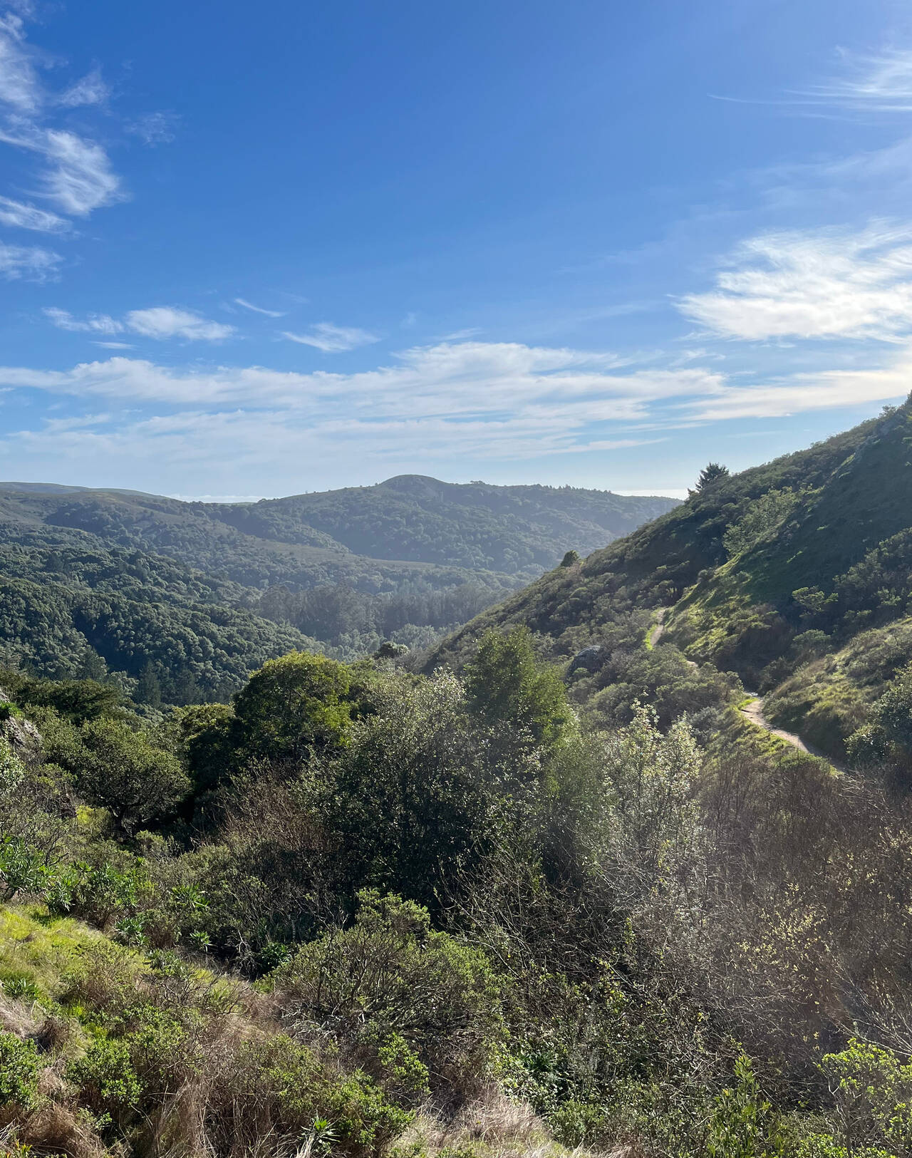 Looking toward the ocean, through a lovely, hazy valley.