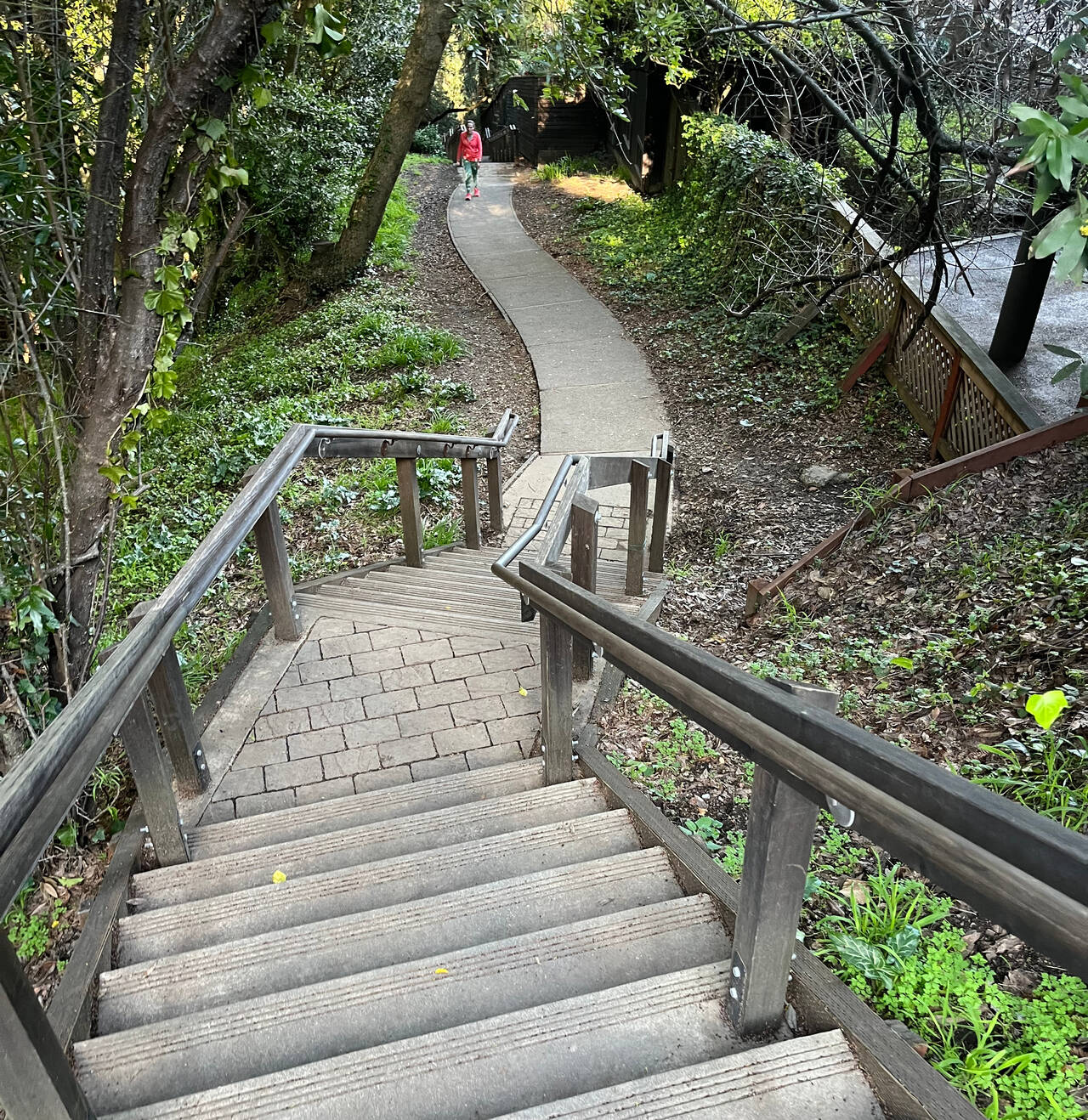 Stairs wind down the hill to Mill Valley. A single walker heads up the path.