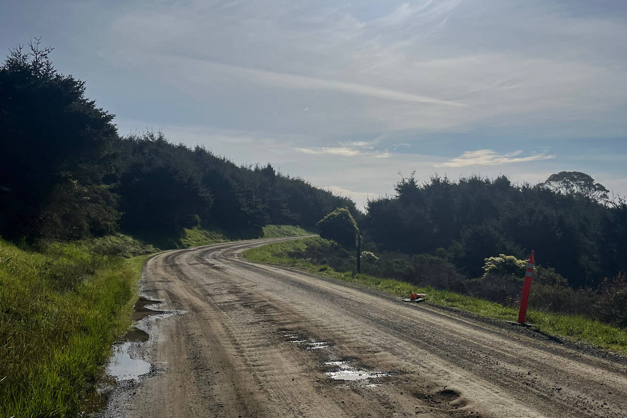 A wide gravel road disappears around a bend as it bakes in the sun.