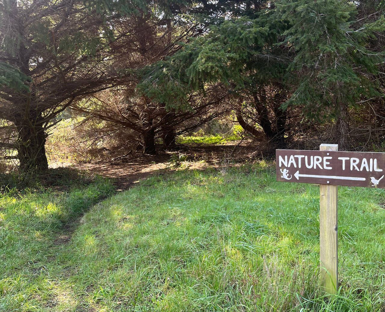 A sign points ahead, labeling the trail "Nature Trail."