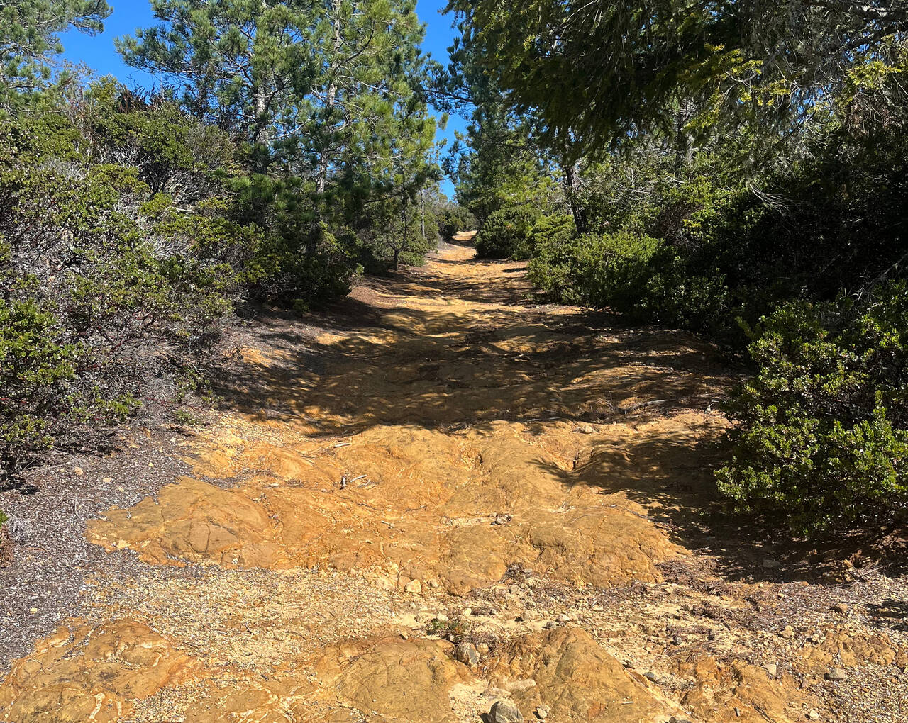 A red, rocky bare trail ascends away from the camera, filling most of the frame.